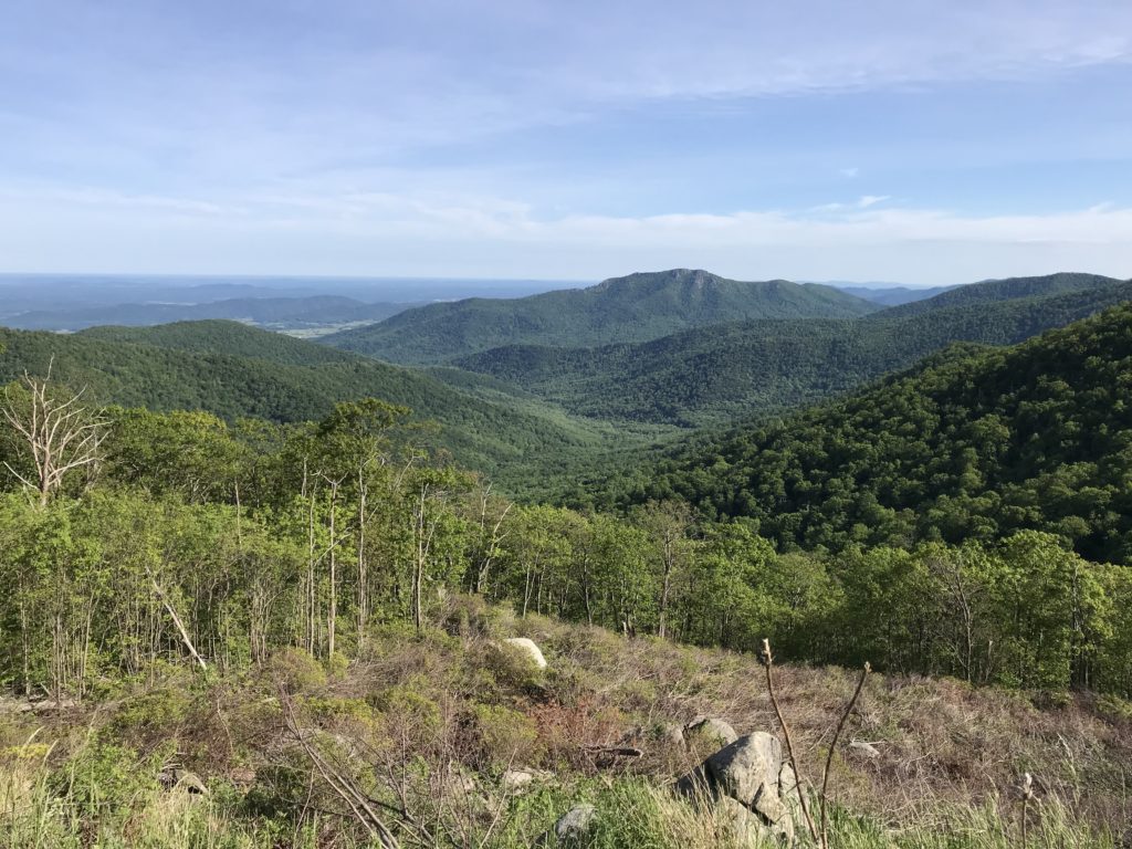 A Week in the Shenandoah Valley - The Traveling Youngs